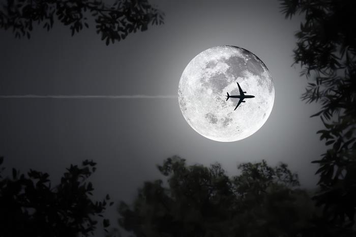 货物美容清洁从中国北京选用海上线路运到