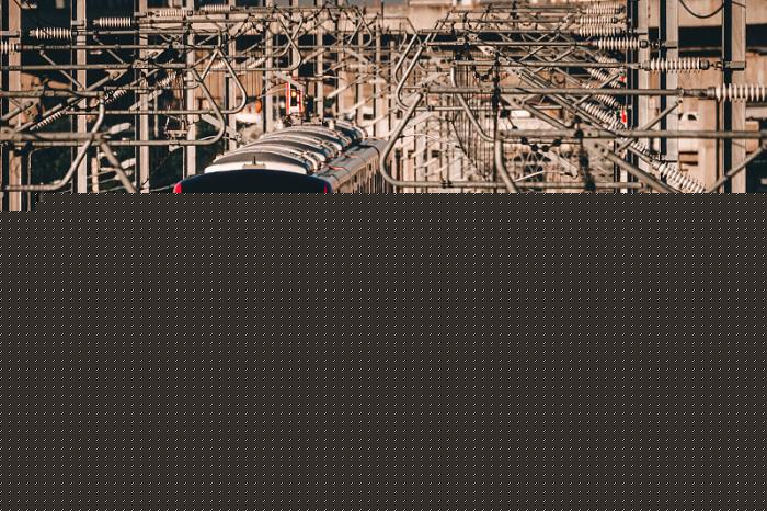 物件木材由中国惠州采用海运航线运到