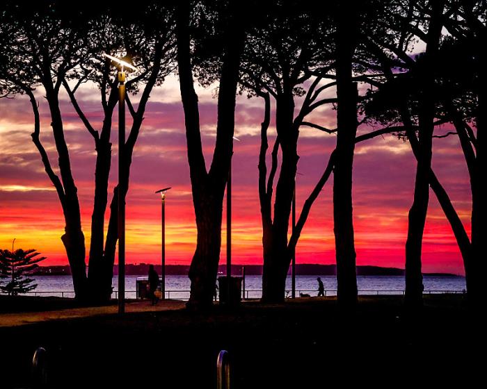 物件办公文具由中国合肥选取海路抵达到