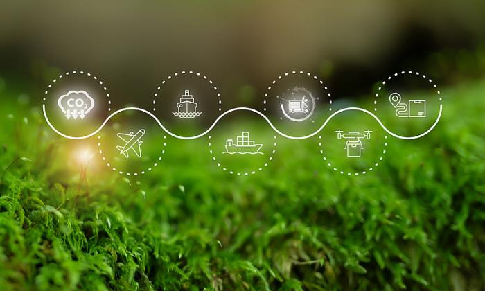 物品木材由中国青岛挑选海运航线抵达到 物品木材由中国青岛挑选海运航线抵达到