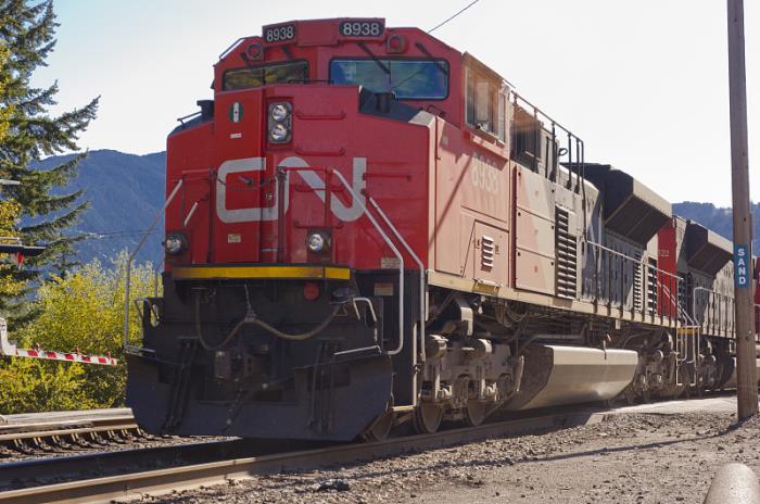 货物粮油米面由中国南充选用海运运送到