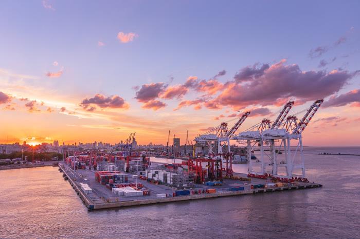 物品家庭清洁从中国广州启用航运送往英国莱斯特 物品家庭清洁从中国广州启用航运送往英国莱斯特