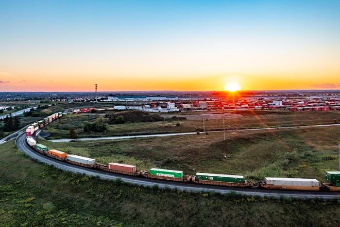 物件鲜花园艺从深圳采取海路运到英国谢菲尔德