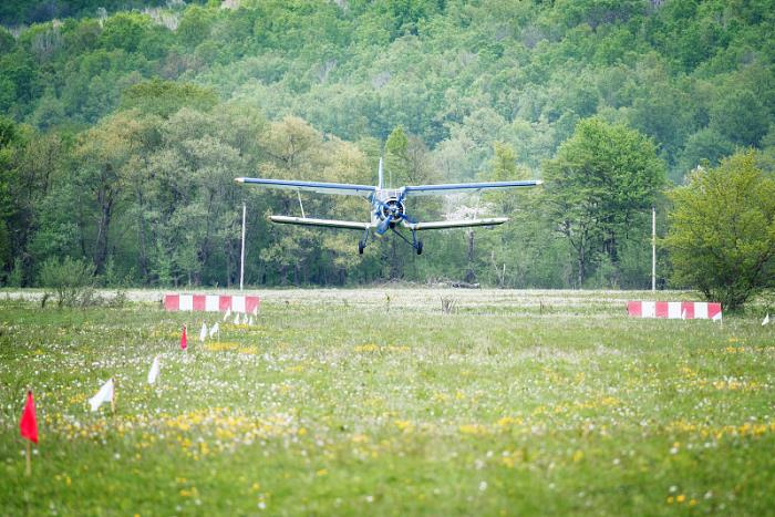 物品打印机、复印机及一体机从中国郑州采取海上线路快运到英国