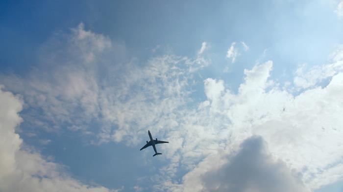 商品蔬菜罐头由中国广州采取船运货运到英国伊普斯威奇