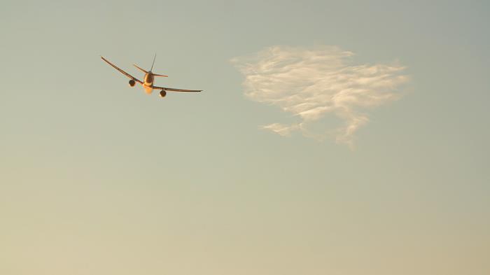 商品人用疫苗由沈阳采用海上线路运输到英国朴茨茅斯