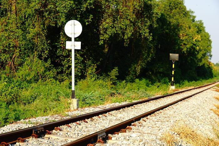 产品有机食品从中国广州挑选海运送到英国费利克斯托