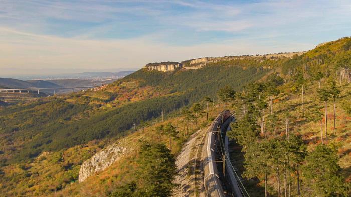 物件鲜花园艺由厦门采用货船输送到达英国曼彻斯特
