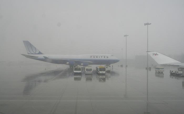 商品婴儿玩具从石家庄采取航运运到英国北安普顿