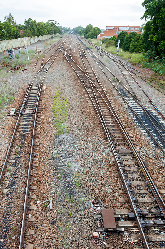 深圳印度尼西亚棉兰海运卡派快速专线