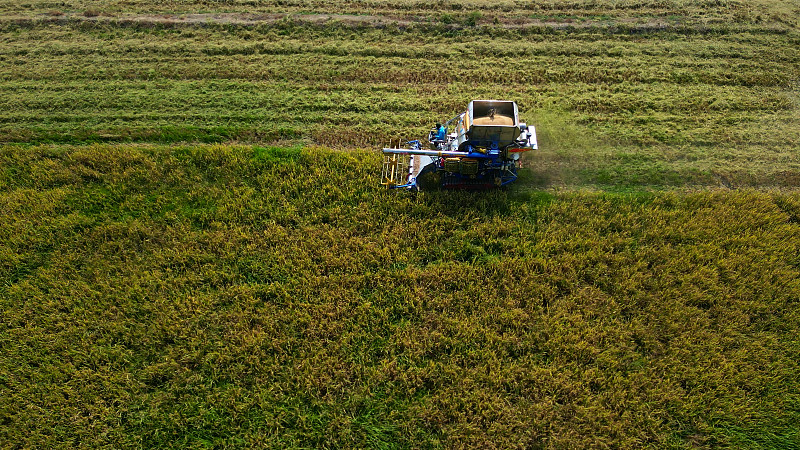 中国上海印尼雅加达卡航专线