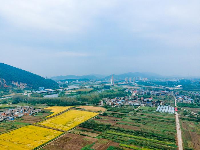 空运进口报关：揭秘高效安全进入国内市场的关键步骤