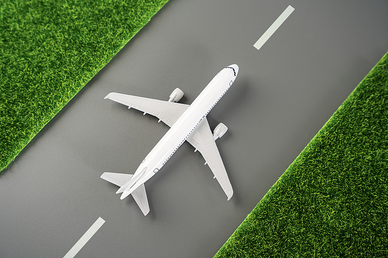 从中国苏州把杨梅苗邮寄到印尼丹戎不碌