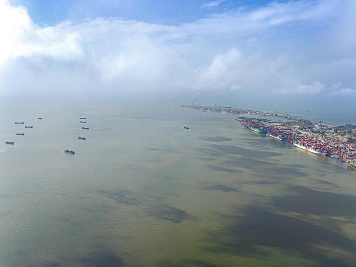 暗黑时刻！全面罢工致港口关闭，或损失2320万美元！北美港口运输量暴增！加拿大政府：如不到万不得已，我们不会介入→