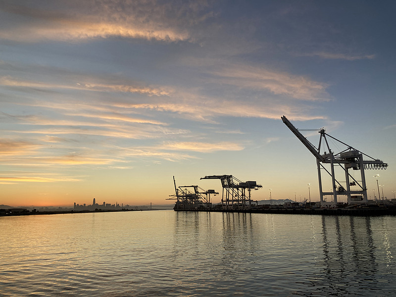 基于中国广州把果苗邮寄到印度尼西亚望加锡