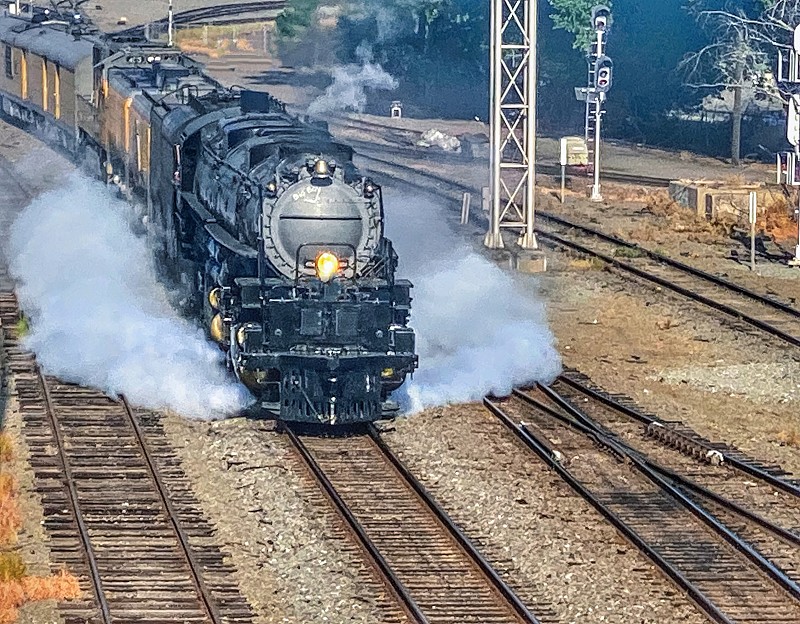 经由中国广州把狗寄到印尼槟港