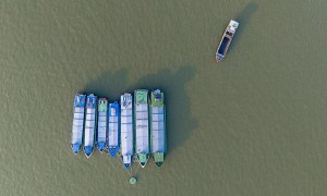 商品箱包及类似容器由中国上海采取海运输送到以色列耶路撒冷