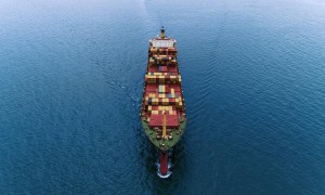 商品模型由中国香港选取海运配送阿尔及利亚尼利