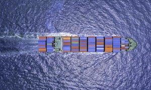 货物带土花卉由中国深圳选择海上线路运送到爱尔兰科克