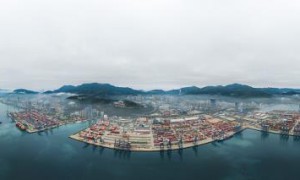 货品宠物用品从中国衡阳市选取航运输送到奥地利利岑
